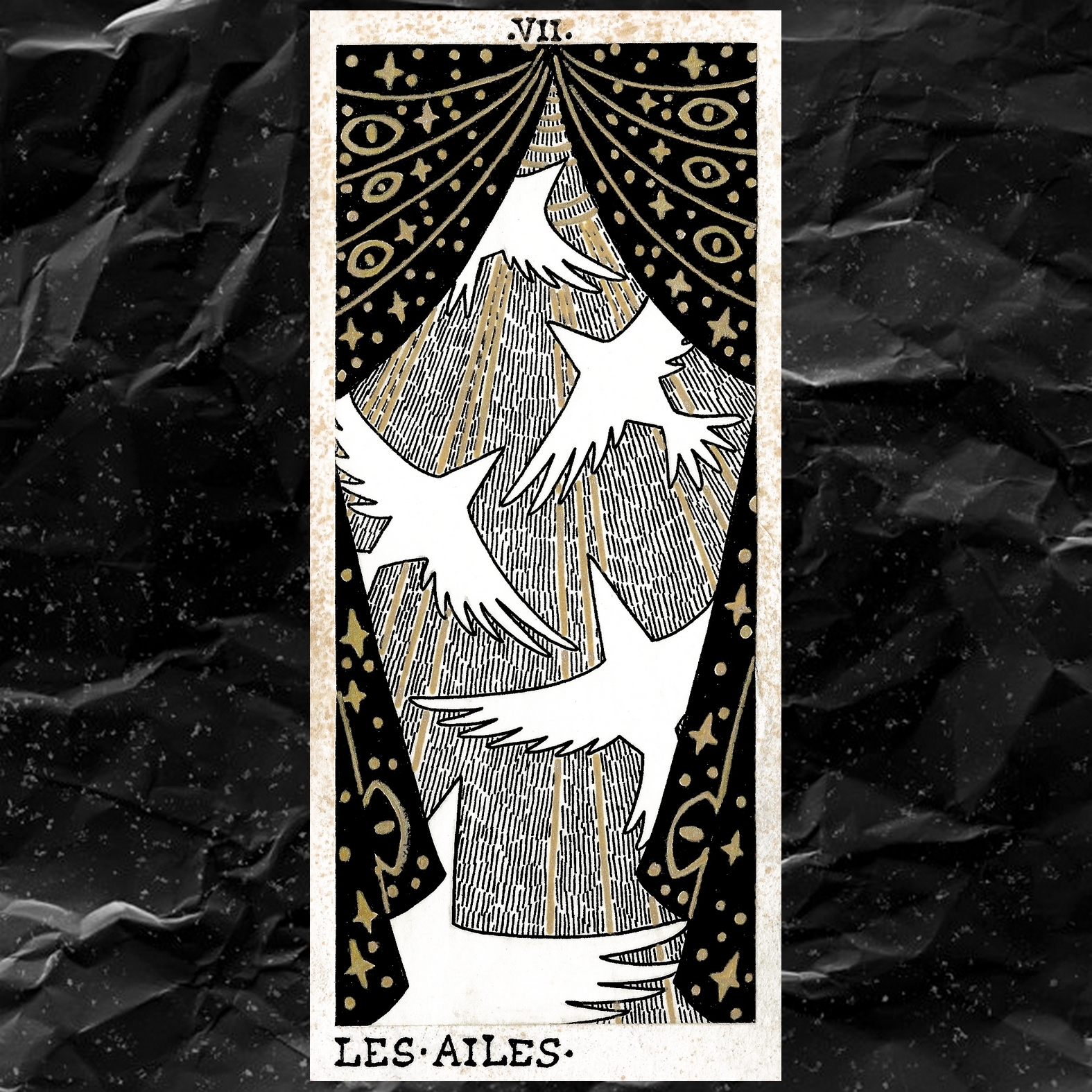 7. Les ailes.jpg